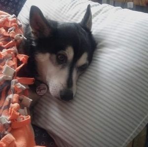 Meet your Posher, Diann